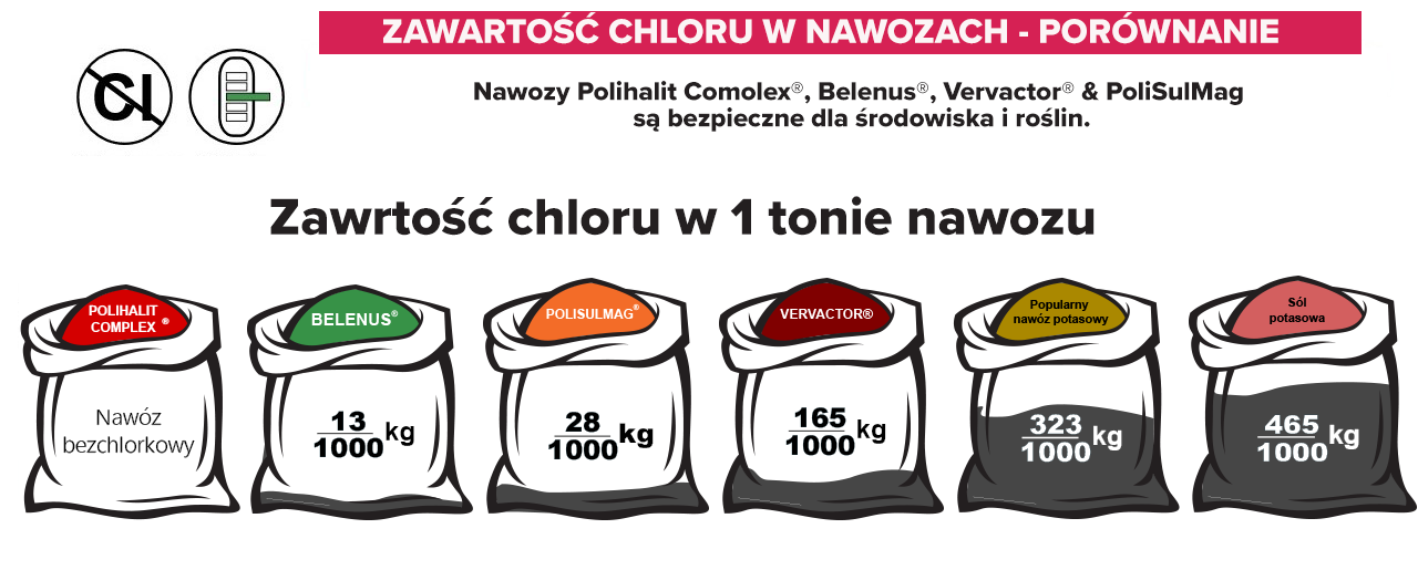 chlor porównanie