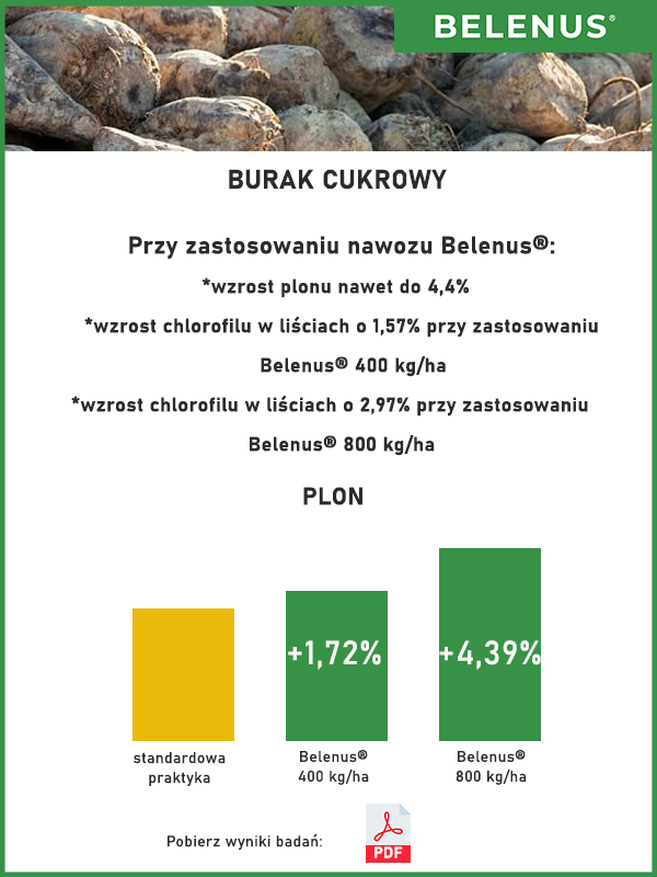 Wyniki badań burak cukrowy mobilny