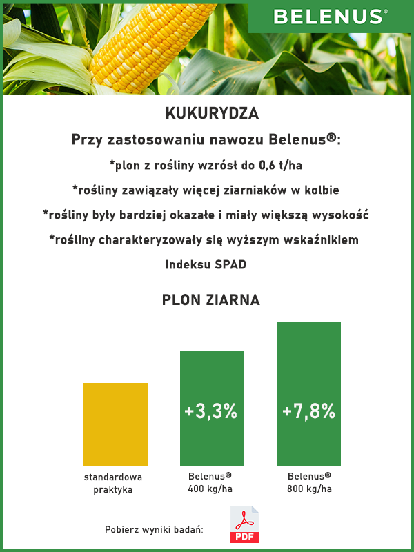 Wyniki badań kukurydza- mobilny