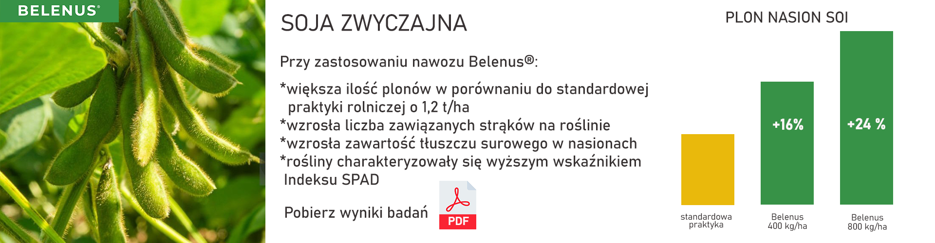 Wyniki badań - soja