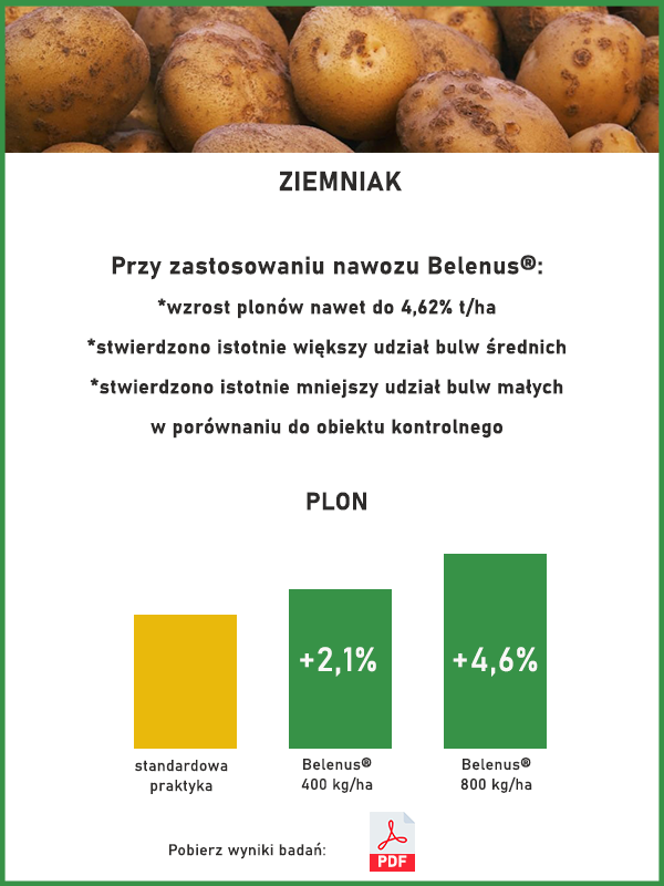 Wyniki badań ziemniak- mobilny