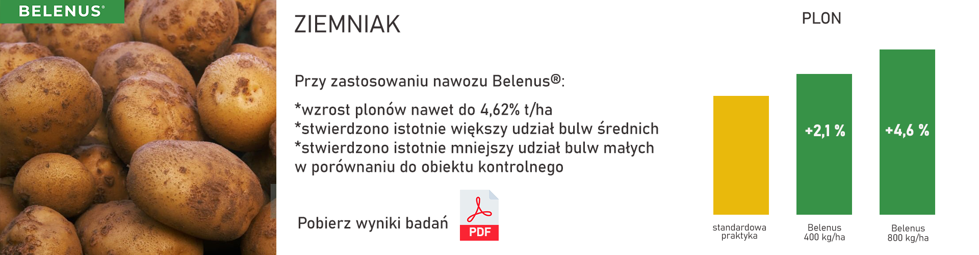 Wyniki badań - ziemniak